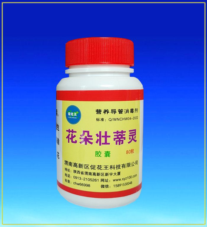 花朵.jpg 花朵.jpg