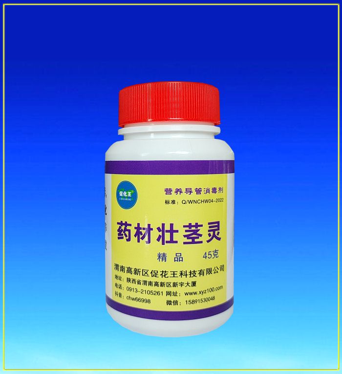 藥材壯莖1.jpg 藥材壯莖1.jpg